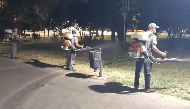 Dezinsecţie săptămânală în cartierele Constanţei