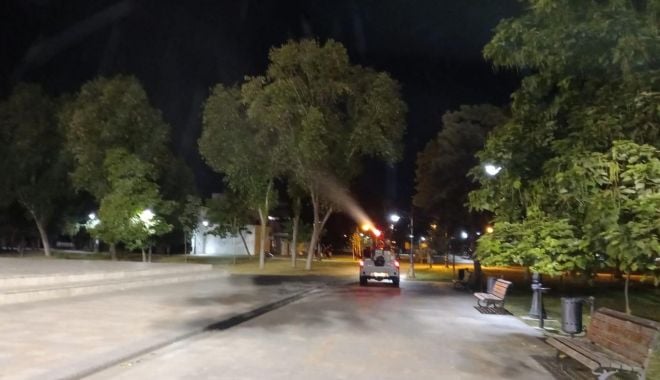 Acţiuni dezinsecţie, noaptea, în municipiul Constanţa