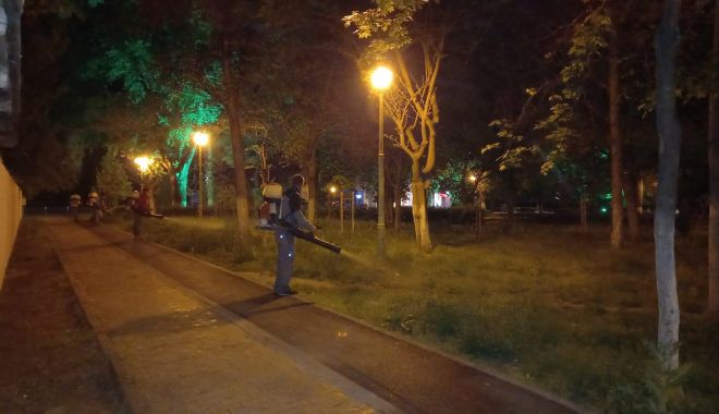 Anunț important de la administrația locală privind dezinsecţia în mai multe zone ale Constanţei
