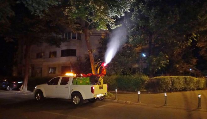 Dezinsecția continuă, în toate cartierele constănțene