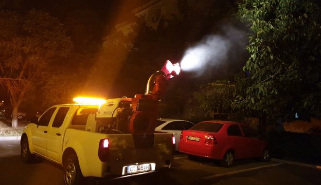 Dezinsecție în toate cartierele constănțene