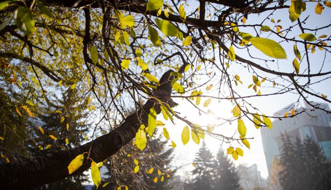 Prognoza meteo / Ploi în nord, centru şi în ţinuturile estice. Maximele pleacă de la 13-14 grade