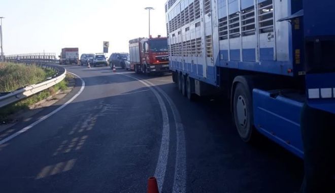 Atenție șoferi! Tir încărcat cu porci, răsturnat pe Autostrada Soarelui
