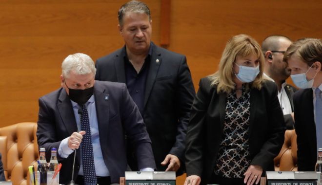 Liberalul Florin Roman vrea să facă toate demersurile pentru demiterea Ancăi Dragu