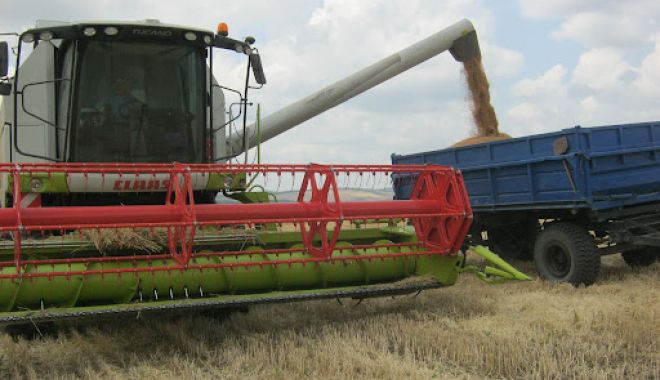 Agricultura românească a înregistrat recolte de cereale record în 2021