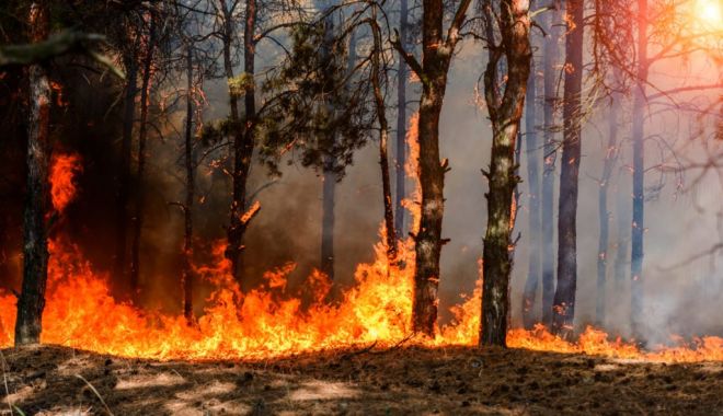 Incendiul masiv din Atena a forțat mii de oameni să fugă din case