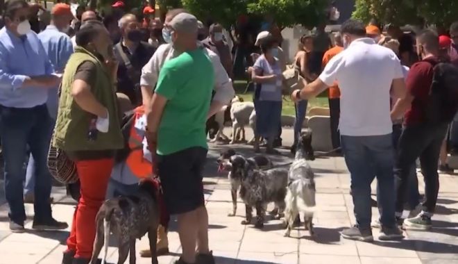 Grecii au protestat împotriva sterilizării animalelor de companie
