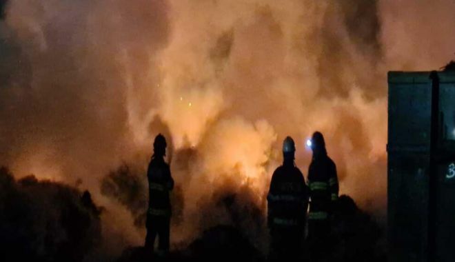 A aruncat țigara la întâmplare și a provocat un incendiu violent într-un cimitir din Oradea