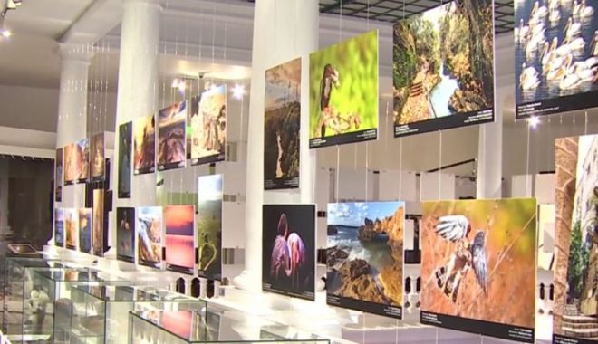 Frumusețile naturale din Israel, aduse la București într-o expoziție fotografică