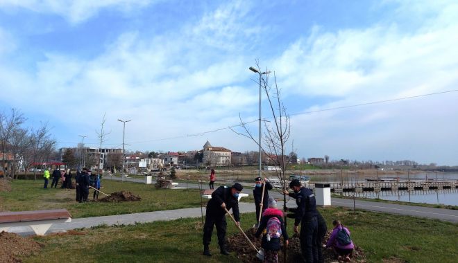 Jandarmii constănţeni solidari cu natura. 171 puieţi de stejari, plantaţi la Techirghiol