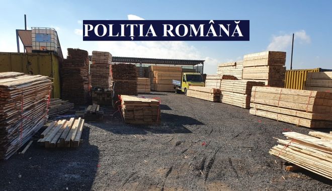 Lemn fără acte, depistat la operatorii economici din Constanţa