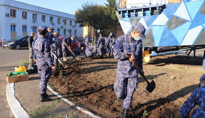 „Lumea de sub navă”. Elevii şi studenţii militari au plantat trandafiri