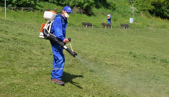 Administraţia locală din Medgidia a început acţiunea de dezinsecţie şi deratizare