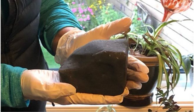 O femeie din British Columbia s-a trezit cu un meteorit în pat, după ce acesta a căzut prin tavan