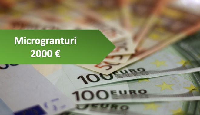 Măsura 1 microgranturi va fi relansată pe 25 octombrie