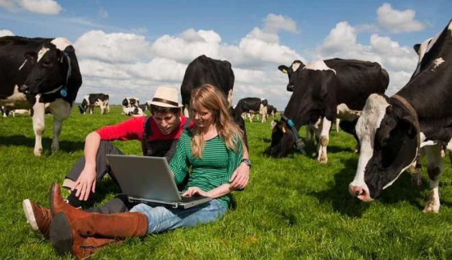 Ministerul Agriculturii pune la bătaie 237 de milioane de euro pentru fermieri