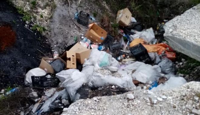 Mormane de gunoaie în Rezervaţia Canaraua Fetii. Amendă uriaşă, dată de Garda de Mediu