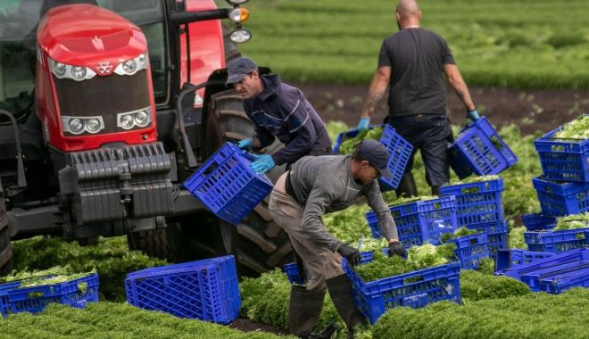 Vreţi să lucraţi în Regatul Unit? Ce trebuie să ştiţi despre condiţiile de muncă