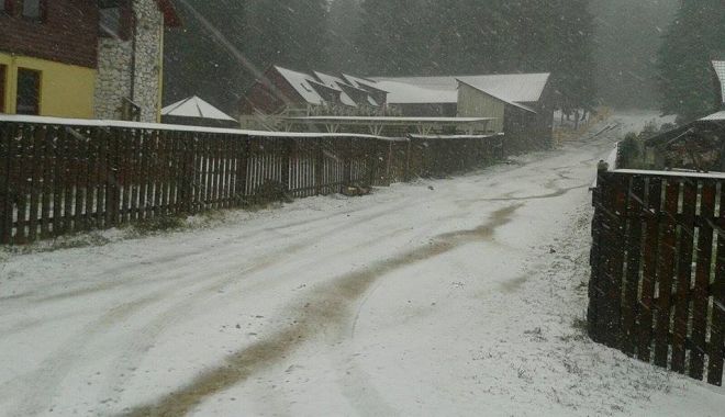 Lapoviță și ninsoare în munții Rodnei, la peste 1.200 de metri altidudine