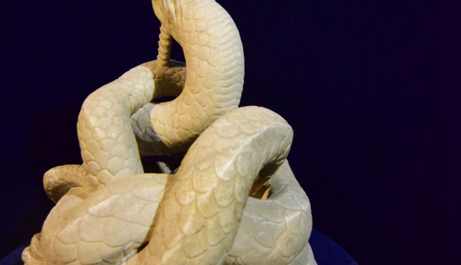 Şarpele Glykon părăseşte Muzeul de Istorie Constanţa după 59 de ani