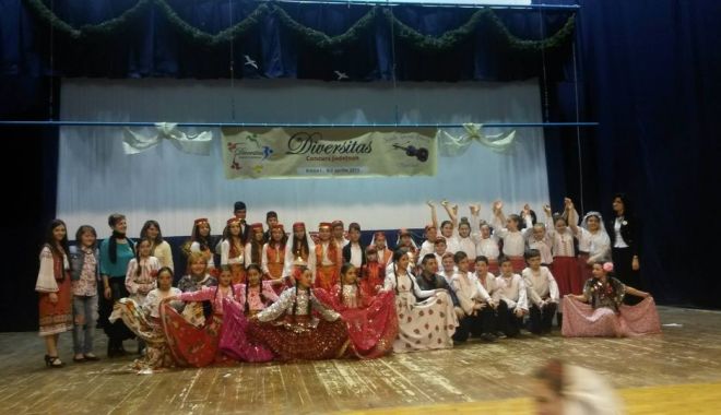 A șasea ediție a Festivalului-concurs național „DIVERSITAS"