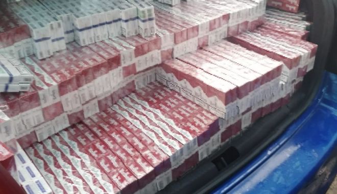 GALERIE FOTO şi VIDEO. Percheziţii şi flagrant delict, la Constanţa, într-un dosar de contrabandă cu ţigări