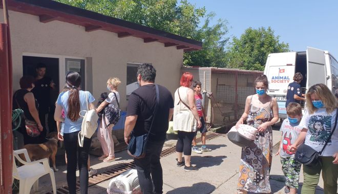 Peste 220 de animale sterilizate, în numai două zile ale Maratonului Responsabilității, la Constanţa