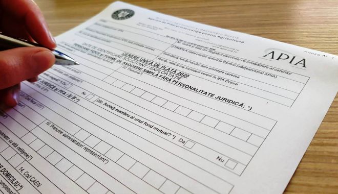 Peste 500.000 de cereri unice de plată au fost depuse la APIA