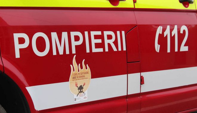 Incendiu în Hipodromul din Parcul Național Nicolae Romanescu din Craiova