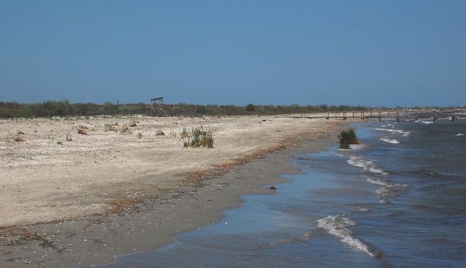 Reguli privind accesul și desfășurarea de activități în Rezervația Biosferei "Delta Dunării