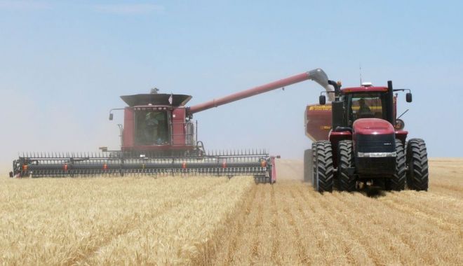 România a ocupat locul şase în UE la producţia de grâu