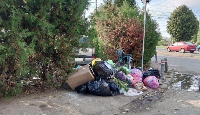 Sancţiuni pentru persoanele care aruncă gunoiul pe domeniul public