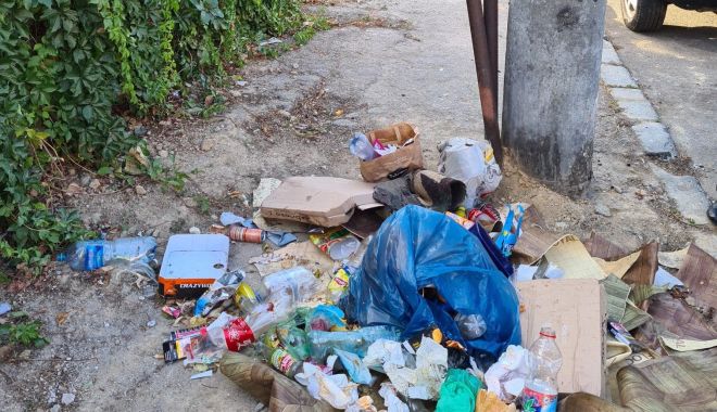 Sancţiuni mai aspre pentru gestionarea incorectă a deșeurilor. Iată ce amenzi intră în vigoare