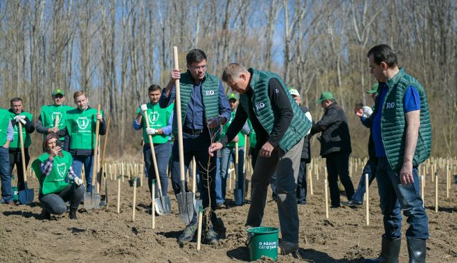 Suprafața împădurită a României e în ușoară creștere