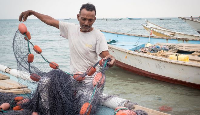 BBC - Un grup de pescari din Yemen a descoperit ambră gri în stomacul unui caşalot