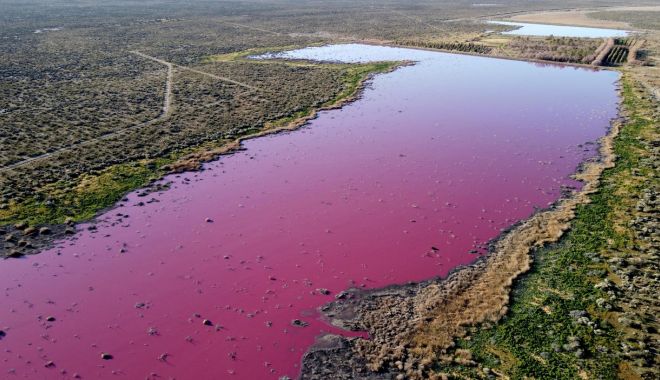 Un lac din Patagonia s-a făcut roz peste noapte