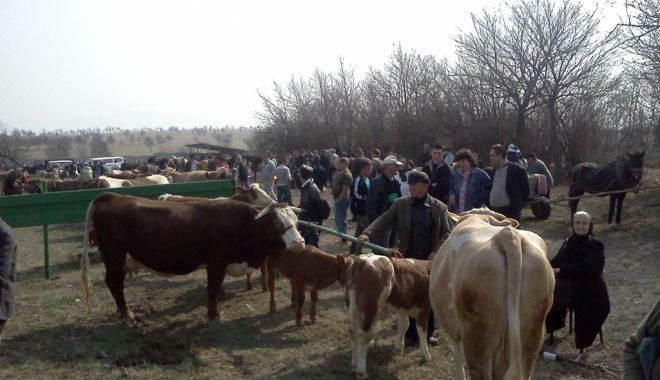 Veste bună pentru fermieri. De luna viitoare se redeschid târgurile de animale