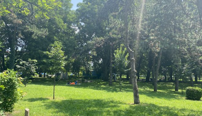 Vreme călduroasă şi însorită, săptămâna aceasta