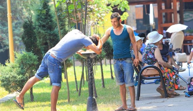 COD GALBEN de CANICULĂ, la Constanţa