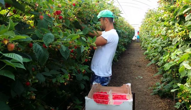 Vreţi să lucraţi peste hotare? Aflați care vă sunt drepturile, mai întâi!