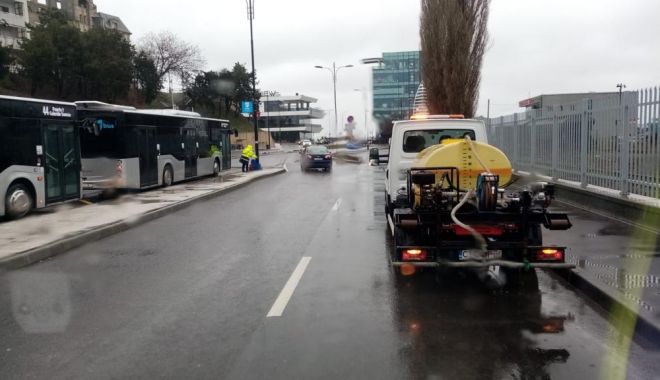 Polei la Constanţa. Intervin sărăriţele