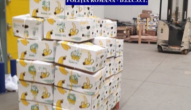Jumătate de tonă de COCAINĂ, găsită în baxuri de banane. Au ajuns în țară prin portul Constanța?