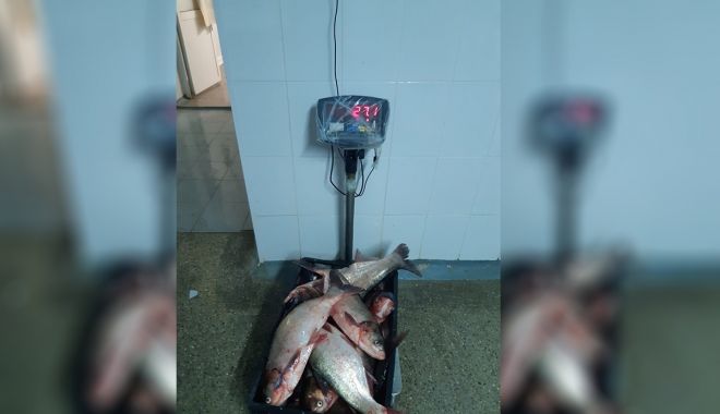 Braconaj piscicol în zona Rezervației Biosferei Delta Dunării