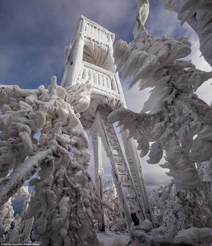 Imagini De Basm Natura Transformată In Sculpturi De Gheaţă